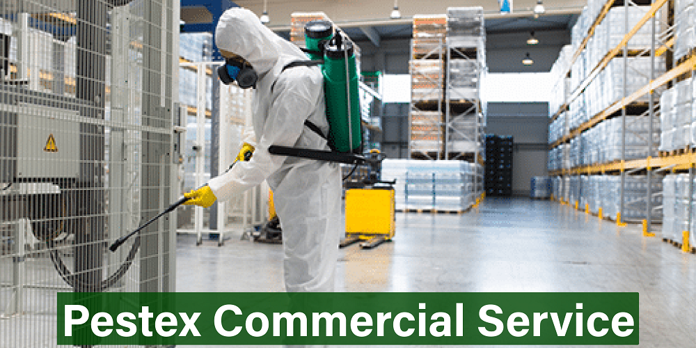Pextex Commercial Service