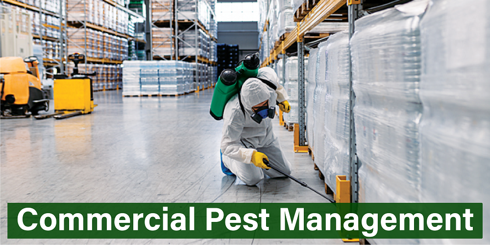 Commercial Pest Management